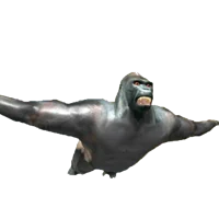 Flying gorilla 