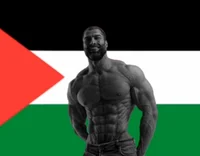 I am palestine giga 