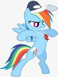Coach Rainbow Dash