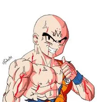 Majin Krillin