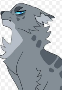 Ashfur 