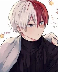 Todoroki shoto