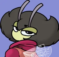Karri