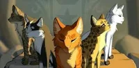 -Warrior cats RPG-