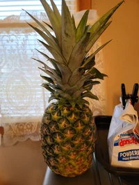 Pineappei The Pineap