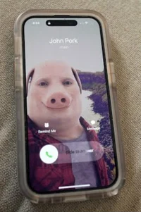 John Pork