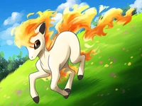 Ponyta