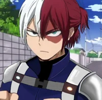 Future Todoroki 