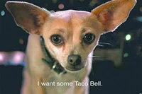 Taco Bell Chihuahua