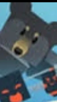 Black bear