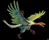 Archaeopteryx