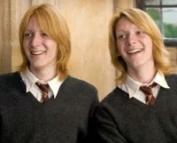 The Weasley twins