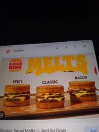 Trio BK melts