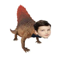 Dimetrosheldon