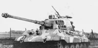 Tiger 2