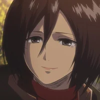 Mikasa ackerman