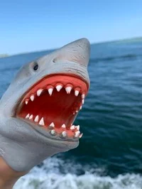 Shark Puppet