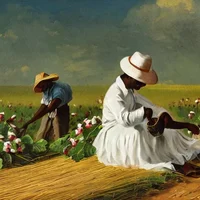 Cotton Picker