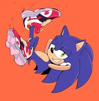 Sonic the hedgehog 