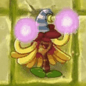 PVZ2 Witch Hazel