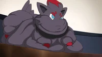 Fat zorua