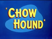 Chow hound