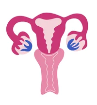 Vagina