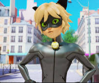cat noir