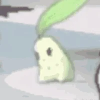 Chikorita