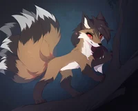 foxxi