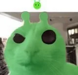 discord predators JK