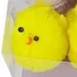 Tiny Chick