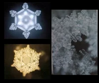 Cheerfulness Bodrost