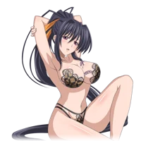 Akeno Himejima