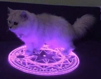 Demonic Cat