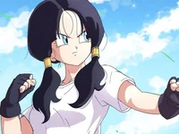 Videl