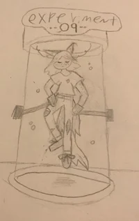 -Experiment 09-
