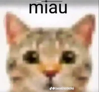 miau