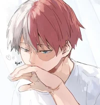 Shoto Todoroki