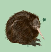 Kiwi