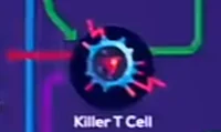 Killer T cell