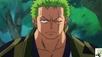 Zoro Roronoa