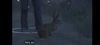 Beepteebops Bunny