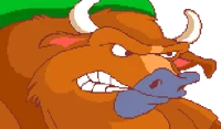 Buffalo Bull