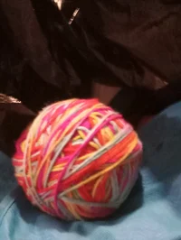 YarnBall