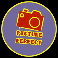 Picture Perfect Game