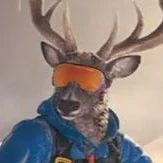 Deer snowboarder