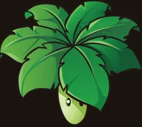 Umbrella Leaf
