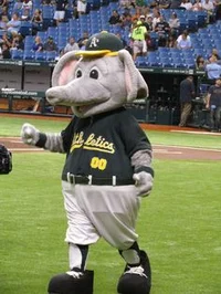 Stomper the Elephant
