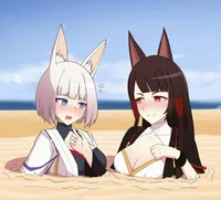 Akagi and Kaga